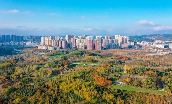 篮球周训练计划包括哪些内容呢图片_1